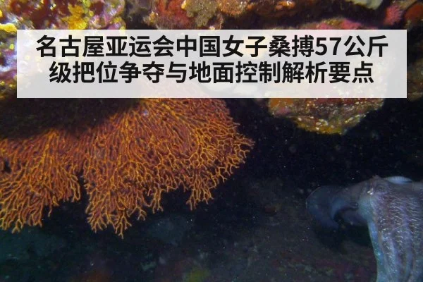 名古屋亚运会中国女子桑搏57公斤级把位争夺与地面控制解析要点